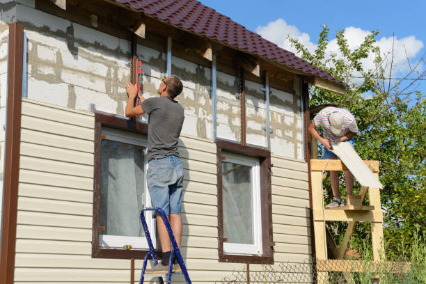 Best Brick Veneer Siding  in Caon City, CO