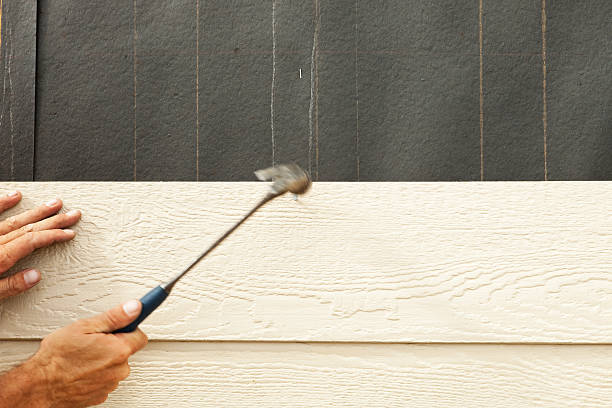Best Siding for New Construction  in Caon City, CO