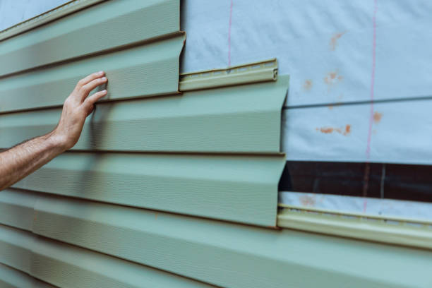 Professional Siding in Caon City, CO